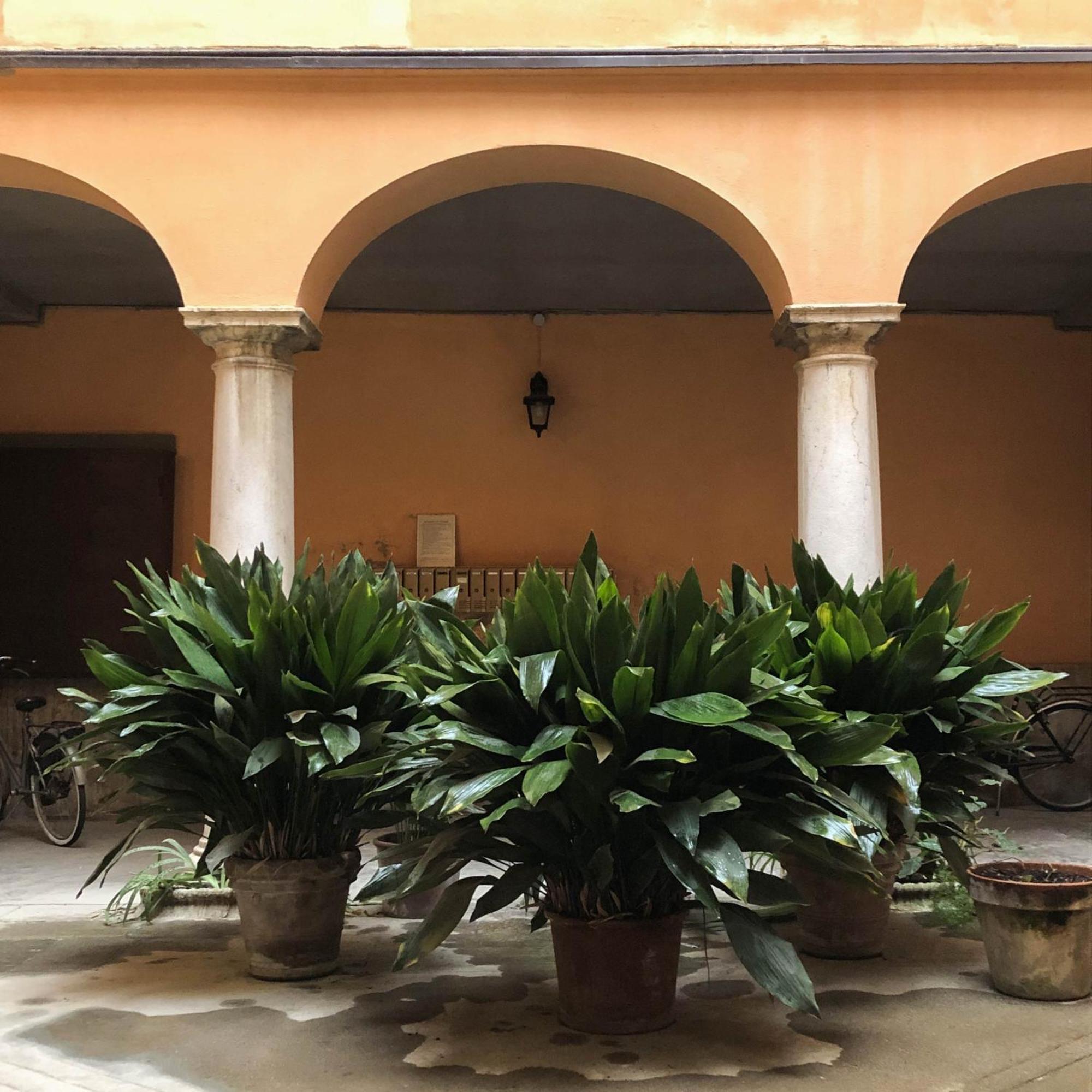 Casa Giulietta Cremona Exterior foto